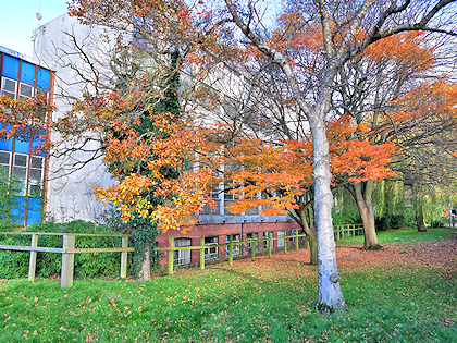 Part of the front of Maidwell, with trees and grass in the foreground