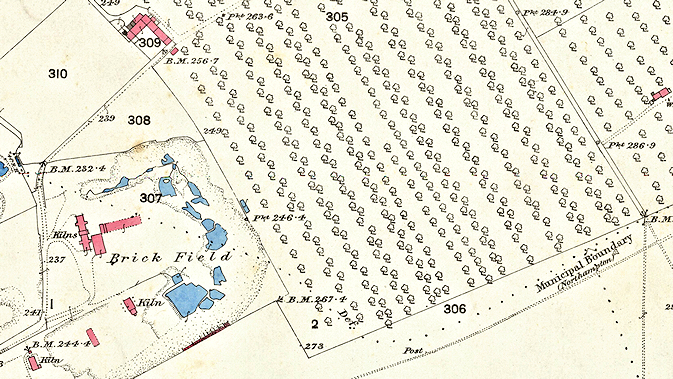 Old map of Avenue and the Racecourse